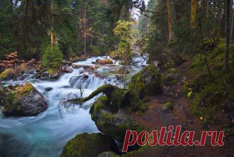 Таёжная речка.
