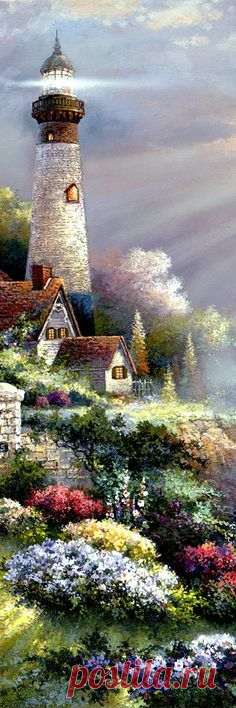 (231) Pinterest