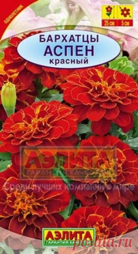 Семена. Бархатцы "Аспен", красный, отклоненные Всхожесть: 91%.
Вес: 0,1 г.
Однолетник.
Высота растения: 25 см.
Диаметр цветка: 5 см....