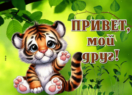 Вдохновляющая гиф-открытка, привет моему другу от тигренка