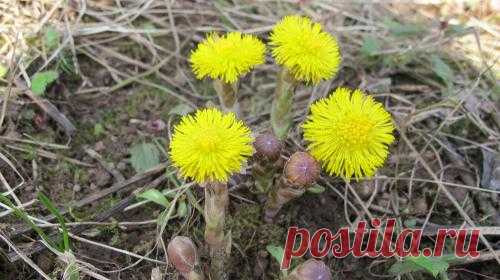 Выбираем духи ... глазами.