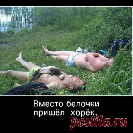 СМИ: Армия Украины использует на Донбассе заградотряды