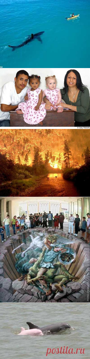 10 фото взорвавшие интернет