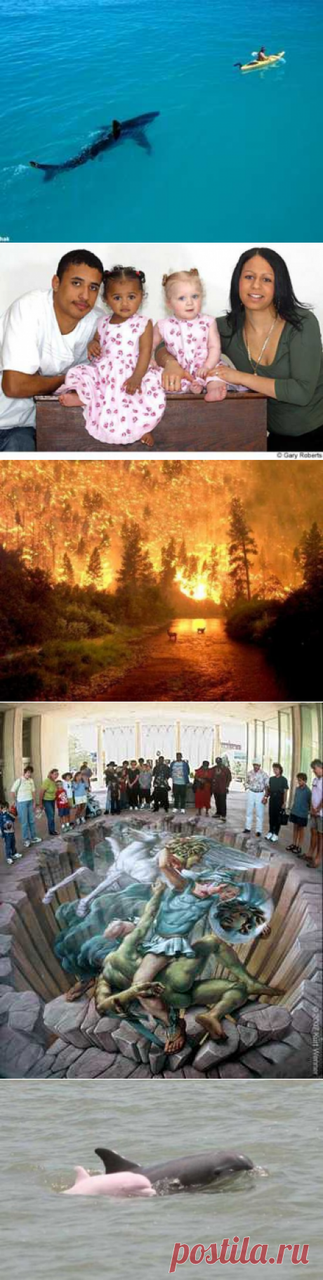 10 фото взорвавшие интернет