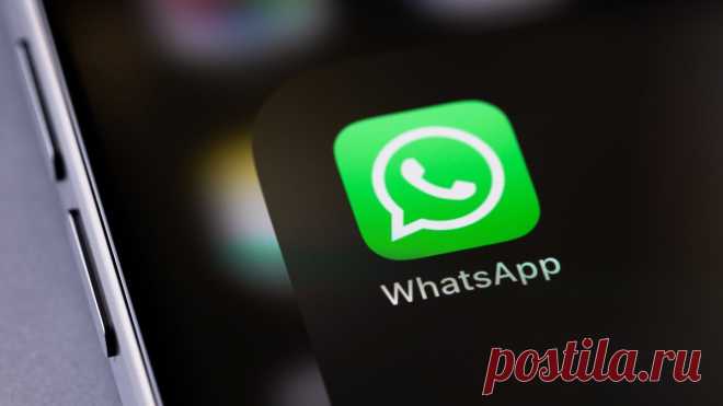 Блокировка в WhatsApp — полезный инструмент, который поможет исключить из вашей жизни назойливых пользователей и избавиться от спама. Как заблокировать контакт в WhatsApp, расскажем в этой статье.