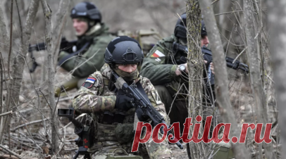 ВС России приступили к зачистке микрорайона Западная Вторая в Купянске. Штурмовики группировки войск «Запад» приступили к зачистке микрорайона Западная Вторая в Купянске от брошенных командованием военных ВСУ, сообщил командир штурмового отряда 121-го мотострелкового полка с позывным Лаврик. Читать далее