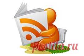 Как правильно заваривать шиповник в термосе?