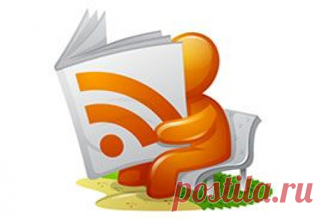 Как правильно заваривать шиповник в термосе?