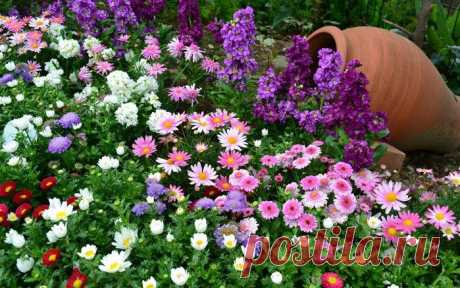 ✿ღ✿Притча. Два кувшина✿ღ✿