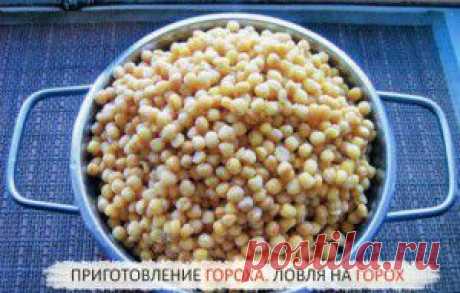 Горох для рыбалки