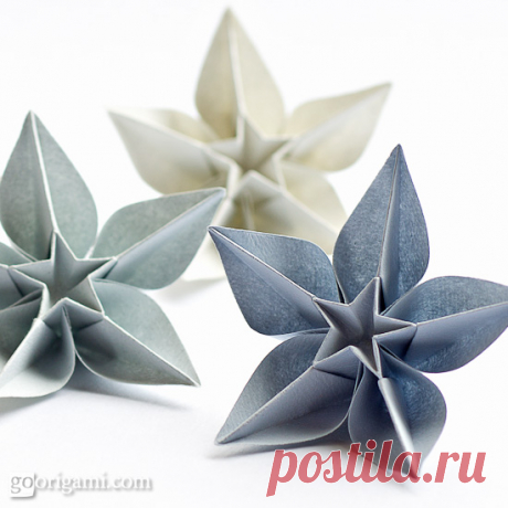 Carambola Flowers by Carmen Sprung | Go Origami!