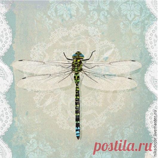 Ирина Сергеева