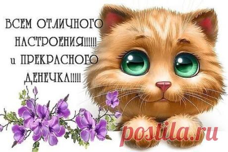 0-3ar5XJdeBL_zgToVasVR4dtq7ESzzcQeWqgePhiyGzp4vb7xEoezZcaDrbkHIAZX1LV5LvCipls7KJAvwZFf4w4keFEzZXcCD6uRx9bZK-kpBQExMhafDOBH9uCnBMuJcIQnNOvDTse0P6mgo (512×342)