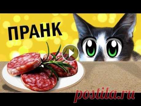 23 СМЕШНЫХ ПРАНКОВ над КОТАМИ ! ЛУЧШИЕ ПРИКОЛЫ с КОТАМИ! СМЕШНЫЕ ИДЕИ ДЛЯ РОЗЫГРЫША пары друзей 23 СМЕШНЫХ ПРАНКОВ над КОТАМИ ! СБОРНИК ПРИКОЛОВ с КОТАМИ! СМЕШНЫЕ ИДЕИ ДЛЯ РОЗЫГРЫША пары друзей ! Сегодня наши #котики решили устроить день просмотр...