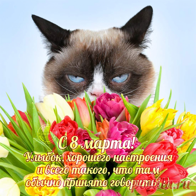 с 8 марта открытка с котиком https://postila.ru/post/80827438