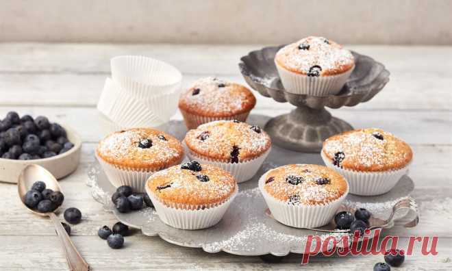 Blaubeer-Muffins Rezepte:   Einfach und schnell saftige Blaubeermuffins mit frischen Blaubeeren im Teig backen - Bestes Heidelbeermuffins Rezept wie bei Oma. | Dr. Oetker