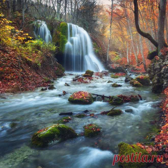 Photo Gallery :: Elreydelmundo0