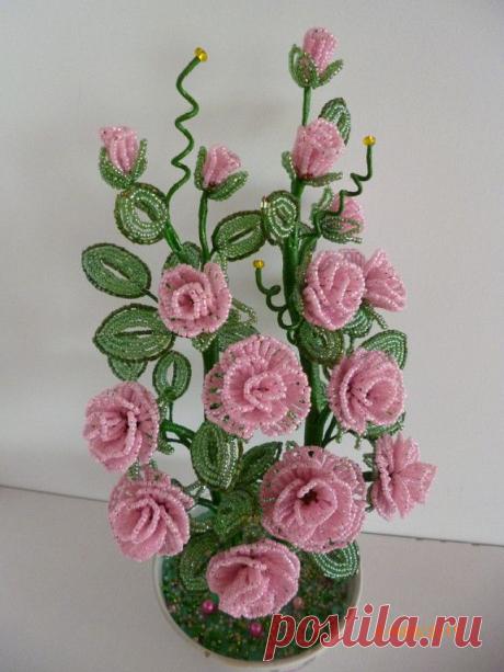 Нина Моисеева (Грушевская)
59 лет, Россия, Ульяновск, Старомайнский район