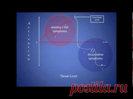 Stress, Trauma and the Body - YouTube