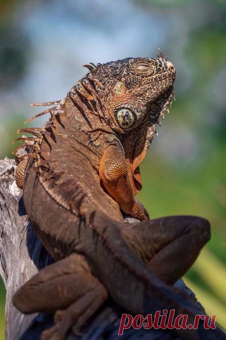Mazatlán vibe
dnleeming_images