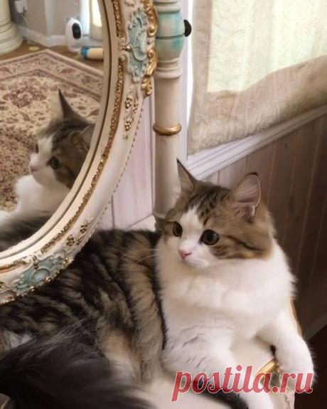 (3) Facebook