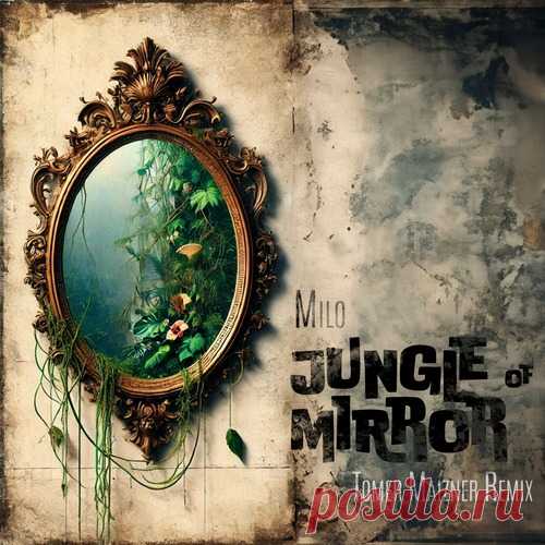 Milo - Jungle Of Mirror (Tomer Maizner Extended Remix) free download mp3 music 320kbps