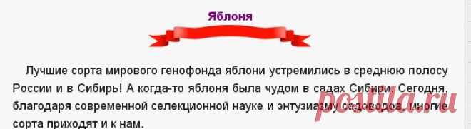 Яблоня - Сады Сибири