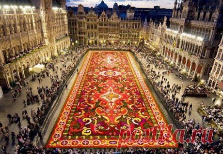 Ковер из цветов на главной площади Брюсселя. Бельгия