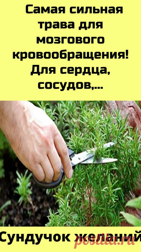 Pinterest