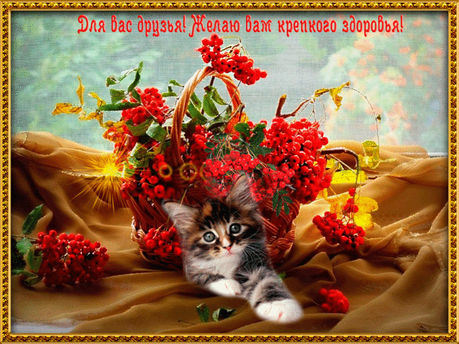 Открытки анимация Здоровья | Открытки анимация