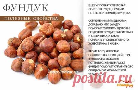 Фундук - полезные свойства