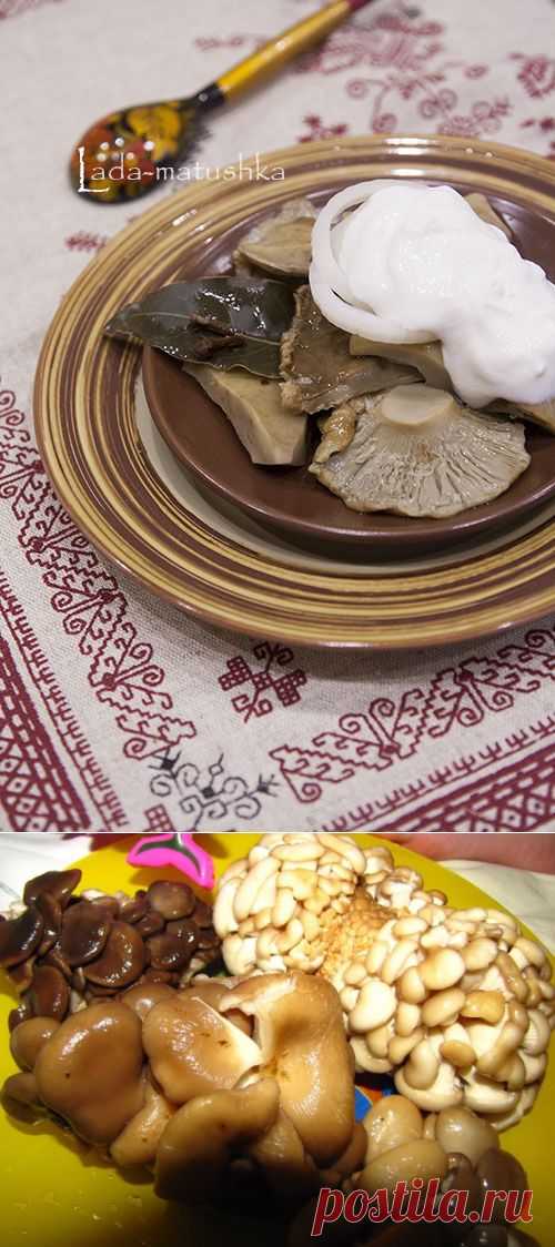 Консервация и Сохранение