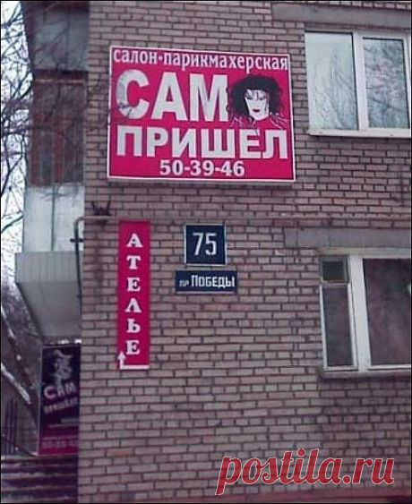 Вывески парикмахерских и салонов красоты / Приколы