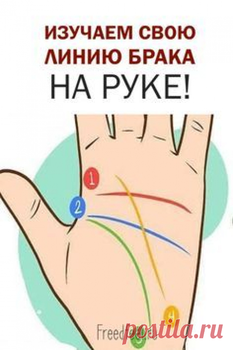 (48) Pinterest