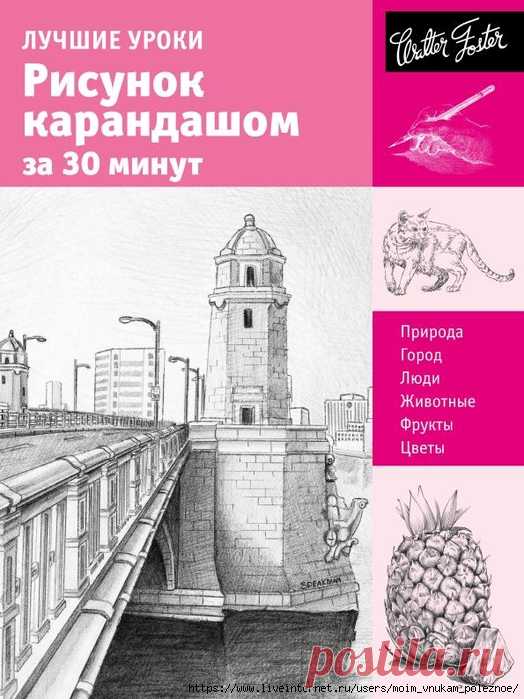 Лучшие урок - Рисунок карандашом за 30 минут