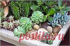 Дома и на даче | Забота о доме. Фотографии и советы на Постиле