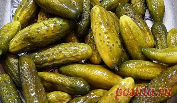ОГУРЧИКИ лучше бочковых! Соленые огурцы с чесночными стрелками и горчицей - Вкус жизни - медиаплатформа МирТесен