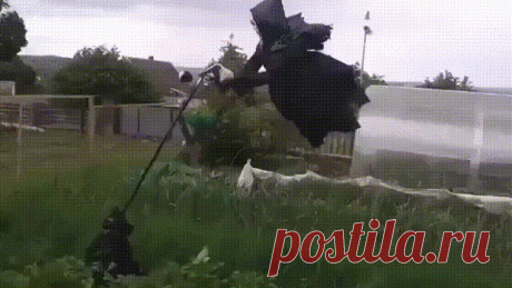 Поставили пугало в огороде... соседи нас обходят стороной.