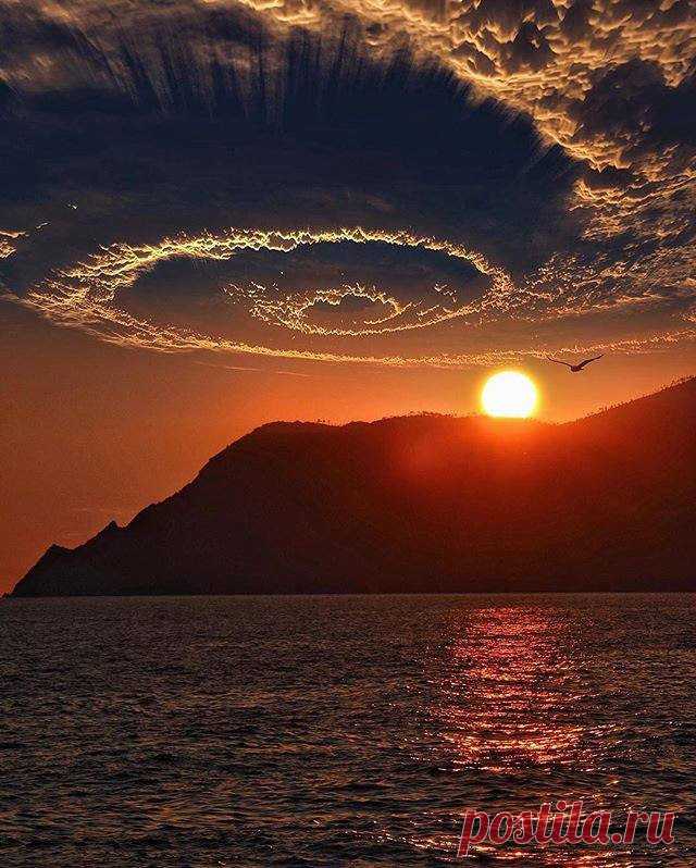 b-26338.jpg (640×798)