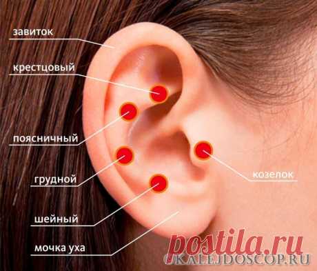 Зарядка для ушей бодрит лучше, чем чашка кофе! | Калейдоскоп
