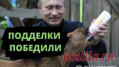 Чиновники рассказали правду! Не пейте молоко! Россиянам объяснили рост молочного фальсификата Карлом МарксомГлава Россельхознадзора Сергей Данкверт заявил, что рост некачественной и поддельной молочной п...