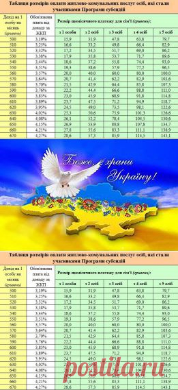 (101) Страницы
