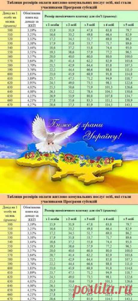 (101) Страницы