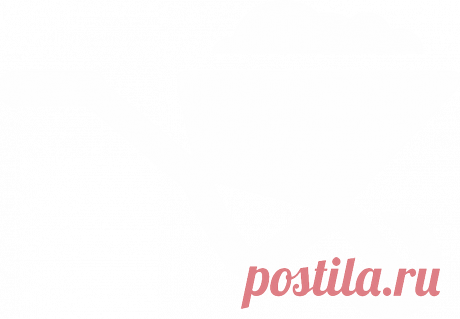 Пихта корейская, купить саженцы в Москве в питомнике недорого!