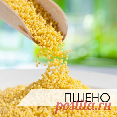Лечение почек ПШЕНОМ.
Лечение почек пшеном очень эффективно. Пшено выводит камни и песок из почек, из мочевого пузыря, лечит цистит, помогает при женских заболеваниях.
Статья посвящена старинным, немного забытым методам лечения почек пшеном, которые можно применять
и в наши дни.
1. Стакан пшена промыть теплой водой, высыпать в 3-литровую банку и залить все горячей водой. После этого настаивать при комнатной температуре, укрыв чем-то теплым. На следующий день Вы увидите бел...