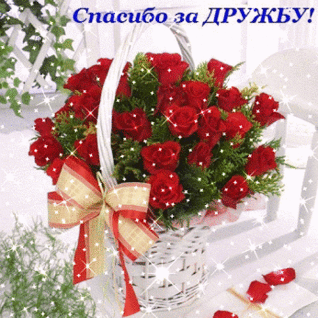 Google+