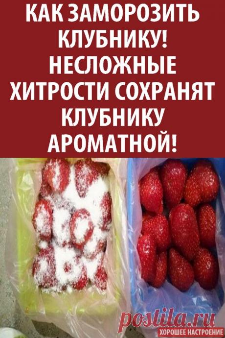 Как заморозить клубнику! Несложные хитрости сохранят клубнику ароматной!