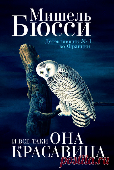 ►▒"И всё-таки она красавица" Мишель Бюсси В одном из номеров сети отелей самообслуживания находят труп мужчины. Ему сначала сделали забор крови, а потом порезали вены. Полиция начинает расследование, которое переворачивает не только жизнь красавицы Лейли, но и становится катализатором целой цепочки ошеломляющих событий. [Читают Дмитрий Креминский и Юлия Яблонская] #аудиокнига #moosic