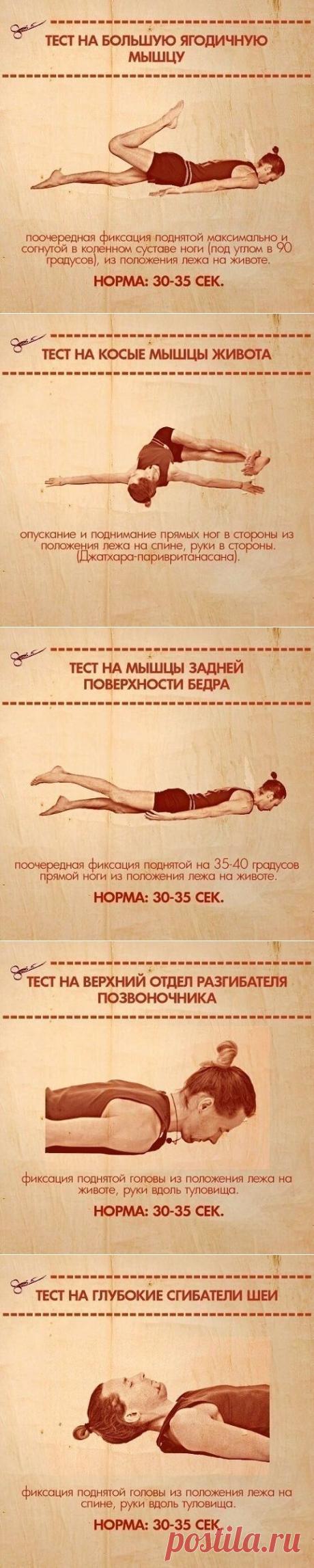 10 упражнений, которые покажут ваши слабые стороны