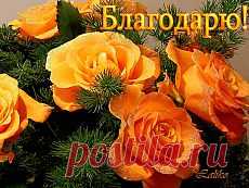 Мой Мир@Mail.Ru